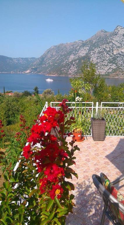Apartment Rose Garden Risan Exterior foto